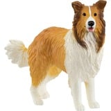 Schleich FARM WORLD Chien Colley, Figurine 3 an(s), Farm, Farm animals / farm toys, Multicolore
