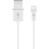 goobay 72905 câble Lightning 0,5 m Blanc Blanc, 0,5 m, Lightning, USB A, Mâle, Mâle, Blanc