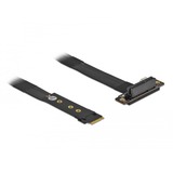 DeLOCK M.2 Key M > PCIe x4 NVMe, Adaptateur Noir, 0,2 mètres