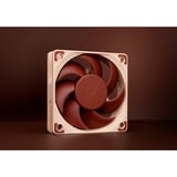 Noctua NF-A6x15 FLX ventilateur de boîtier 60 x 60 x 15 mm