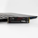 PNY  SSD 
