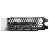 Palit GeForce RTX 5060 Ti OC WHITE 16GB, Carte graphique Blanc