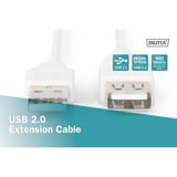 Digitus Câble de rallonge USB 2.0, USB-A mâle > USB-A femelle, Câble d'extension Beige