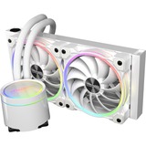 EKL Gletscherwasser240 White RGB, Watercooling Blanc