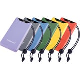 Intenso Powerbank F10000 Gris Gris