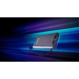 Intenso Powerbank F10000 Gris Gris