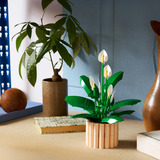 LEGO 11504, Jouets de construction 