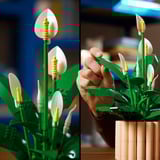 LEGO Botanicals Fleur de la paix, Jouets de construction 