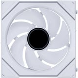 Lian Li UNI FAN SL-INF 120 Wireless ventilateur de boîtier RGB  Blanc, 120 x 122.1 x 28 mm