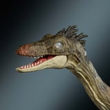 Mattel Hammond Collection Troodon, Figurine Jurassic World Hammond Collection Troodon, 8 an(s), Vert