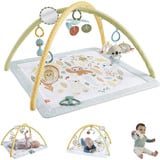Mattel – Mon Tapis d’Éveil Sensimals, Arche de jeu/couverture Tapis de gymnastique pour bébé, Barre d'activités, Plastique, Multicolore