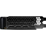 Palit GeForce RTX 5050 Dual 8GB, Carte graphique 