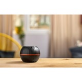 Shelly Compteur de température et d'humidité H&T, Détecteur thermique Noir, Wifi