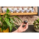 Shelly Compteur de température et d'humidité H&T, Détecteur thermique Noir, Wifi