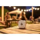 eve 10ECM8351, Switch socket Gris
