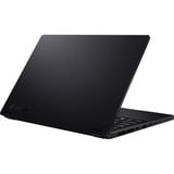 ASUS ProArt PX13 (HN7306EA-LX070W) 13" PC portable 2-en-1  Copilot+  Noir
