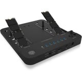ICY BOX IB-2915MSCL-C31 USB 3.2 Gen 2 (3.1 Gen 2) Type-C Noir, Station d'accueil HDD, SSD, SATA, Série ATA II, Série ATA III, 2.5,3.5,M.2, USB 3.2 Gen 2 (3.1 Gen 2) Type-C, Noir, Plastique