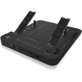 ICY BOX IB-2915MSCL-C31 USB 3.2 Gen 2 (3.1 Gen 2) Type-C Noir, Station d'accueil HDD, SSD, SATA, Série ATA II, Série ATA III, 2.5,3.5,M.2, USB 3.2 Gen 2 (3.1 Gen 2) Type-C, Noir, Plastique