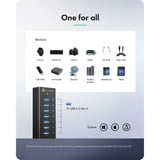 ICY BOX IB-AC618a, Hub USB Noir