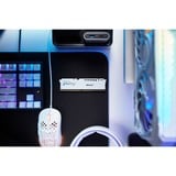 Kingston FURY 32 Go DDR5-5600, Mémoire vive Blanc, KF556C36BWE-32, Beast, EXPO