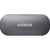 Kioxia  SSD externe Gris