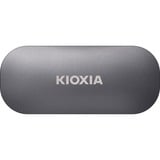 Kioxia  SSD externe Gris