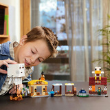 LEGO 21273, Jouets de construction 