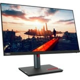 Lenovo ThinkVision P24h-30 écran plat de PC 60,5 cm (23.8") 2560 x 1440 pixels Quad HD LED Noir Moniteur  Noir, 60,5 cm (23.8"), 2560 x 1440 pixels, Quad HD, LED, 6 ms, Noir