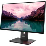 Lenovo ThinkVision T24-40 écran plat de PC 60,5 cm (23.8") 1920 x 1080 pixels Full HD LCD Noir Moniteur  Noir, 60,5 cm (23.8"), 1920 x 1080 pixels, Full HD, LCD, 6 ms, Noir