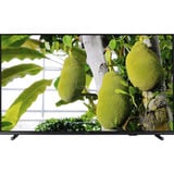 Philips  55" Ultra HD TV LED Anthracite/Noir