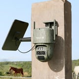 Reolink Reolink Trackmix Series G770 avec Solarpanel 2, Caméra de surveillance Camouflage