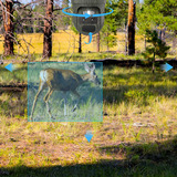 Reolink Reolink Trackmix Series G770 avec Solarpanel 2, Caméra de surveillance Camouflage