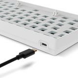 Sharkoon SKILLER SGK50 S2 Barebone, clavier gaming Blanc