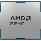 AMD EPYC™ 9554 socket SP5 processeur Tray
