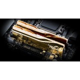 G.Skill 32 Go DDR5-8000 (2x 16 Go) Dual-kit, Mémoire vive Or, F5-8000J3848H16GX2-TR5NG, Trident Z5 Royal Neo, AMD EXPO