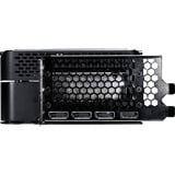 Gainward NE75080019T2-GB2030P, Carte graphique 