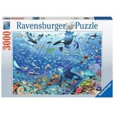 Ravensburger Puzzle Plaisir sous-marin coloré 
