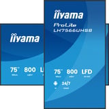 iiyama LH7566UHSB-B1AG, Affichage public Noir (Mat)