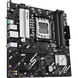 ASUS PRIME A620AM-A-CSM carte mère socket AM5 
