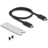 DeLOCK Boîtier SSD M.2 NVMe USB-C 40 Gbps, Boîtier disque dur Gris, avec ventilateur