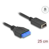 DeLOCK Connecteur USB à 19 broches type A avec clé USB type E, Adaptateur Noir/Bleu