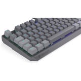 ENDORFY Thock V2 TKL RGB clavier gaming mécanique Gris, Layout DE (QWERTZ), ENDORFY Red, 80% (TKL)