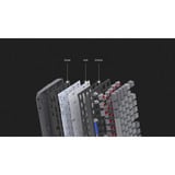 ENDORFY Thock V2 TKL RGB clavier gaming mécanique Gris, Layout DE (QWERTZ), ENDORFY Red, 80% (TKL)