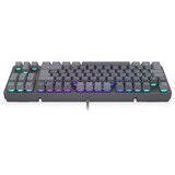 ENDORFY Thock V2 TKL RGB clavier gaming mécanique Gris, Layout DE (QWERTZ), ENDORFY Red, 80% (TKL)