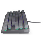 ENDORFY Thock V2 TKL RGB clavier gaming mécanique Gris, Layout DE (QWERTZ), ENDORFY Red, 80% (TKL)