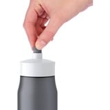 Emsa 518086 gourde 600 ml Anthracite Anthracite, 600 ml, Anthracite