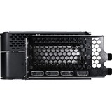 Gainward NE75090019R5-GB2020P, Carte graphique 