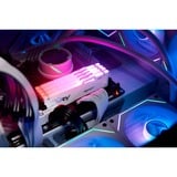 Kingston FURY 64 Go DDR5-6000 (2x 32 Go) mémoire vive Blanc, KF560C36BWEAK2-64, XMP 3.0, EXPO