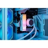 Kingston FURY 64 Go DDR5-6000 (2x 32 Go) mémoire vive Blanc, KF560C36BWEAK2-64, XMP 3.0, EXPO