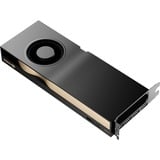 PNY NVIDIA RTX 5000 Ada Generation 32GB PB, Carte graphique 